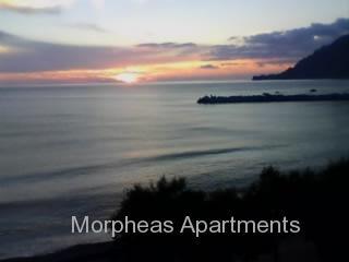 Morpheas *